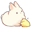 Soft and cute rabbits 16