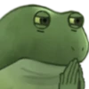 Worry Frog 11