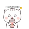 Kucing Gaje 19