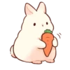 Soft and cute rabbits 17