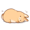 Soft and cute rabbits 18