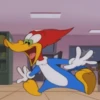 Woodpecker 17