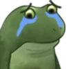 Froge 19