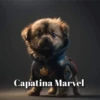 Marvel Animalitos✥1 Clásica 16