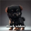 Marvel Animalitos✥1 Clásica 17