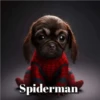 Marvel Animalitos✥1 Clásica 18