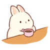 Soft and cute rabbits 19