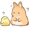 Soft and cute rabbits 20