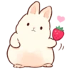 Soft and cute rabbits 21