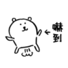 whitebear 22