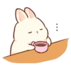 Soft and cute rabbits 23