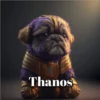Marvel Animalitos✥1 Clásica 23