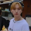 SKZ 24