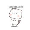 Kucing Gaje 26