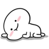 Small white face 23