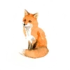 WatercolorFoxes 5