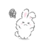 Whiteebunny 24