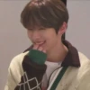 Stray kids 26