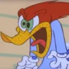 Woodpecker 26