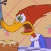 Woodpecker 27