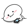 Small white face 28