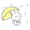 Whiteebunny 25