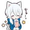 WN 27