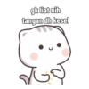 Kucing Gaje 29