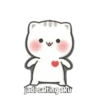 Kucing Gaje 30