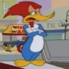 Woodpecker 29
