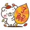 解