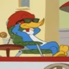 Woodpecker 30