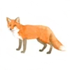 WatercolorFoxes 6