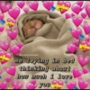 uwu uwu 8