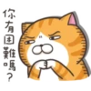whitecat 5