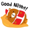 Good Night!
Ţ
