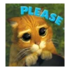 PLEASE