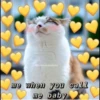 uwu uwu 10