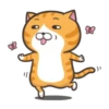 whitecat 8