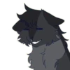 Warrior_cats 11