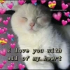 uwu uwu 11