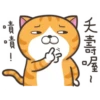 whitecat 10