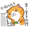 whitecat 11