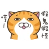 whitecat 13