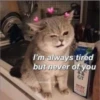 uwu uwu 16