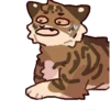 Warrior_cats 14