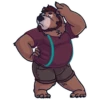 The BEAR 5