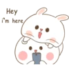 Tuagom Puffy Rabbit 12