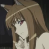 Spice and Wolf | Ookam to Koushinryou 14