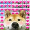 doggo hearts 9